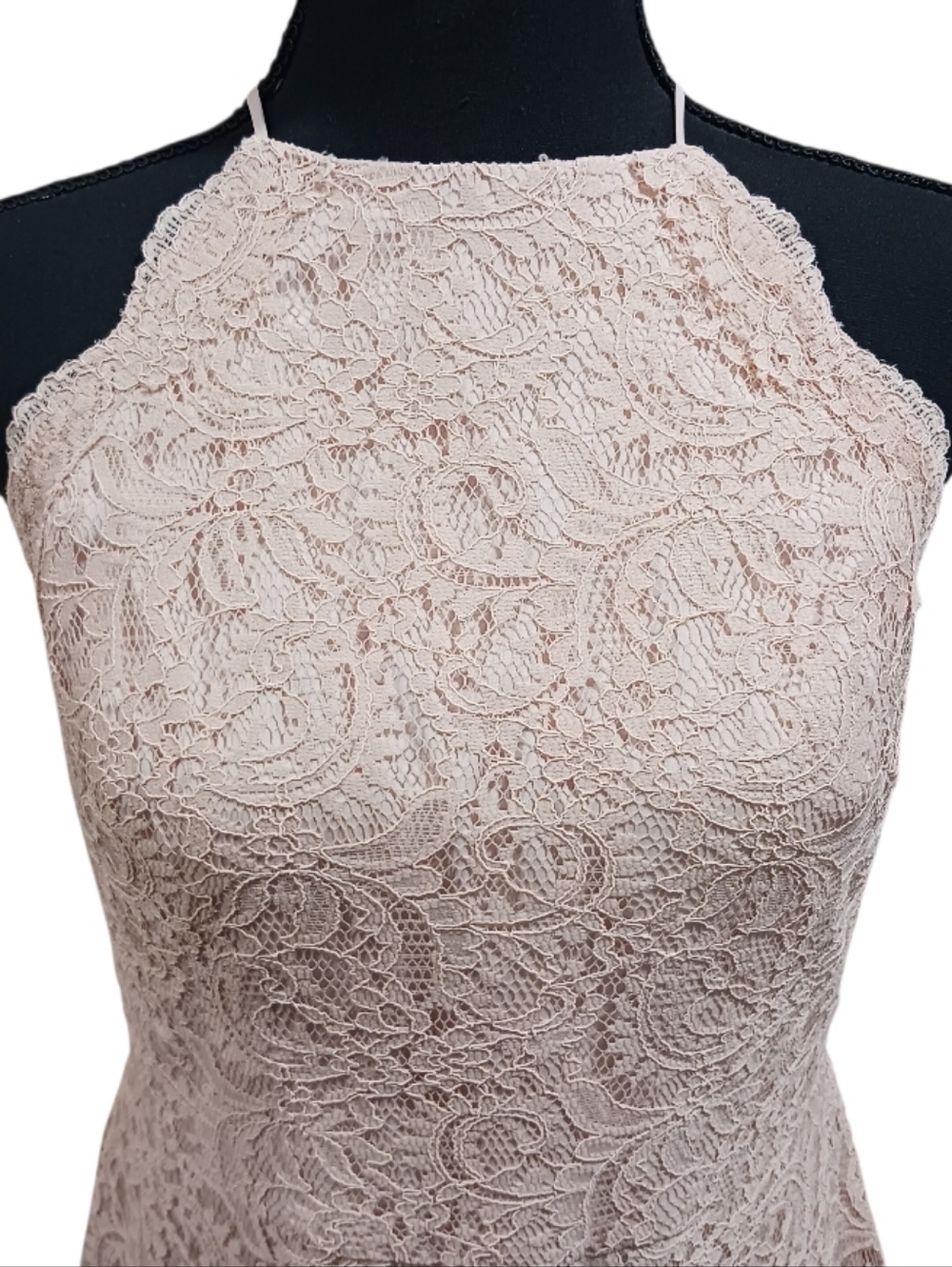 Dessy Collection Marque Lace Open Back Mermaid Gown Cameo 2995 Bridesmaid - Picture 4 of 10